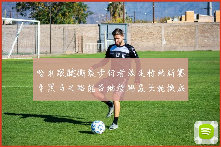 哈利跟腱撕裂步行者放走特纳新赛季黑马之路能否继续跑轰长轮换成关键