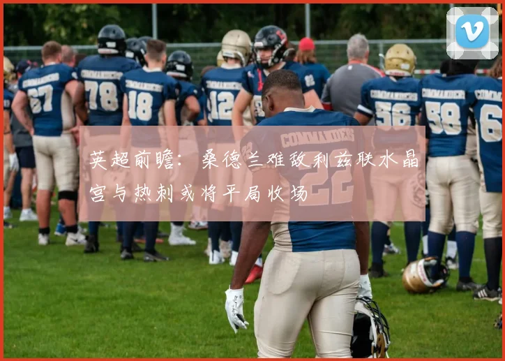 英超前瞻：桑德兰难敌利兹联水晶宫与热刺或将平局收场